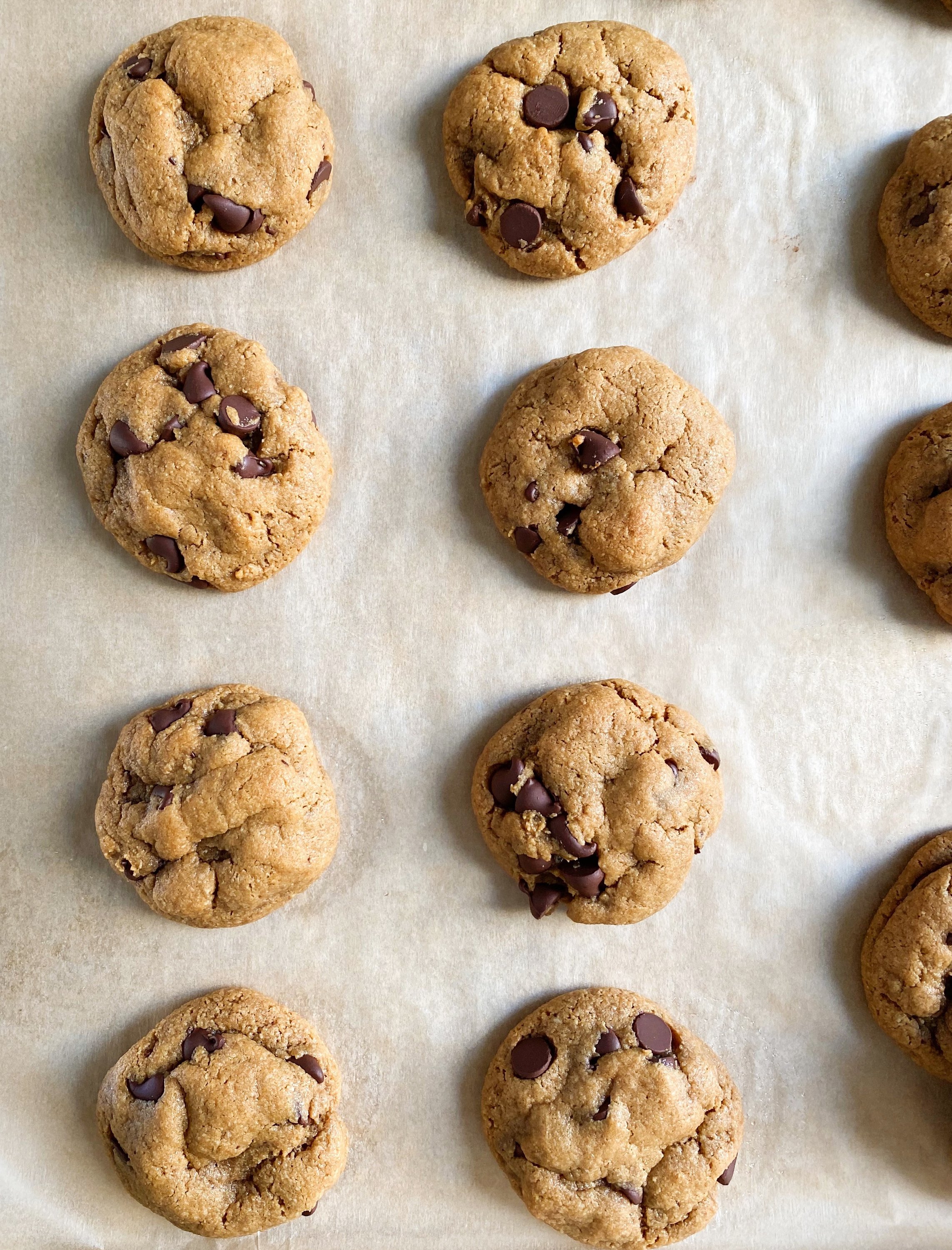 Chewy Paleo Chocolate Chip Cookies