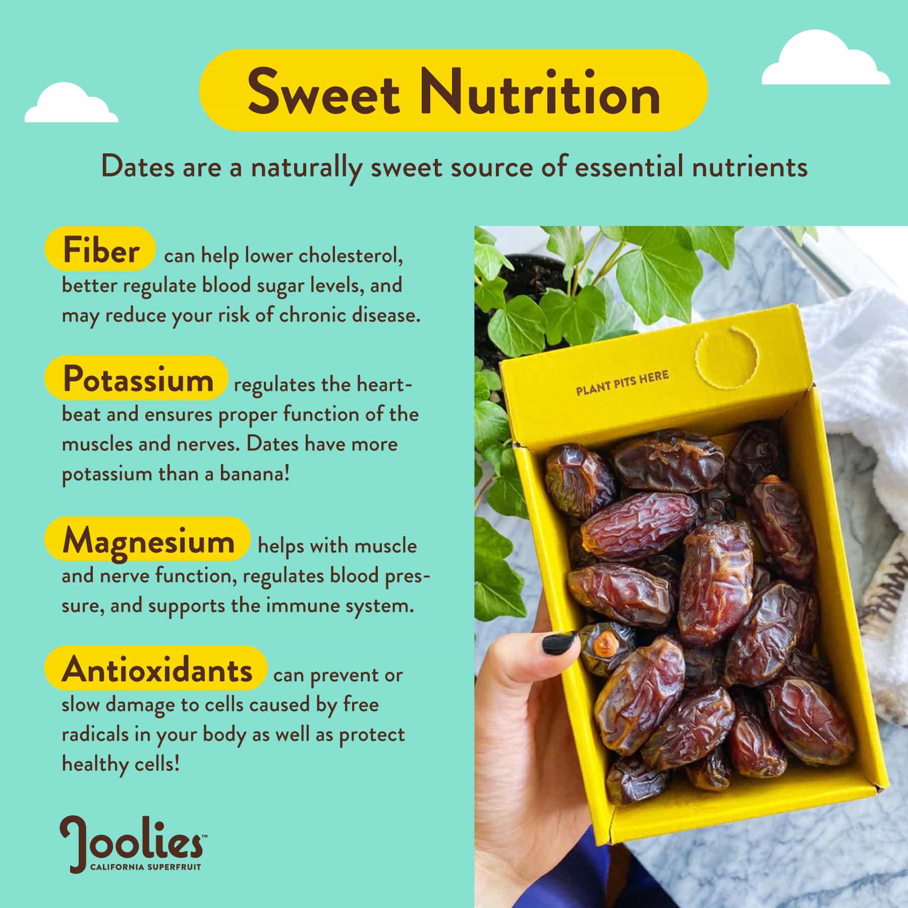 medjool dates nutrition