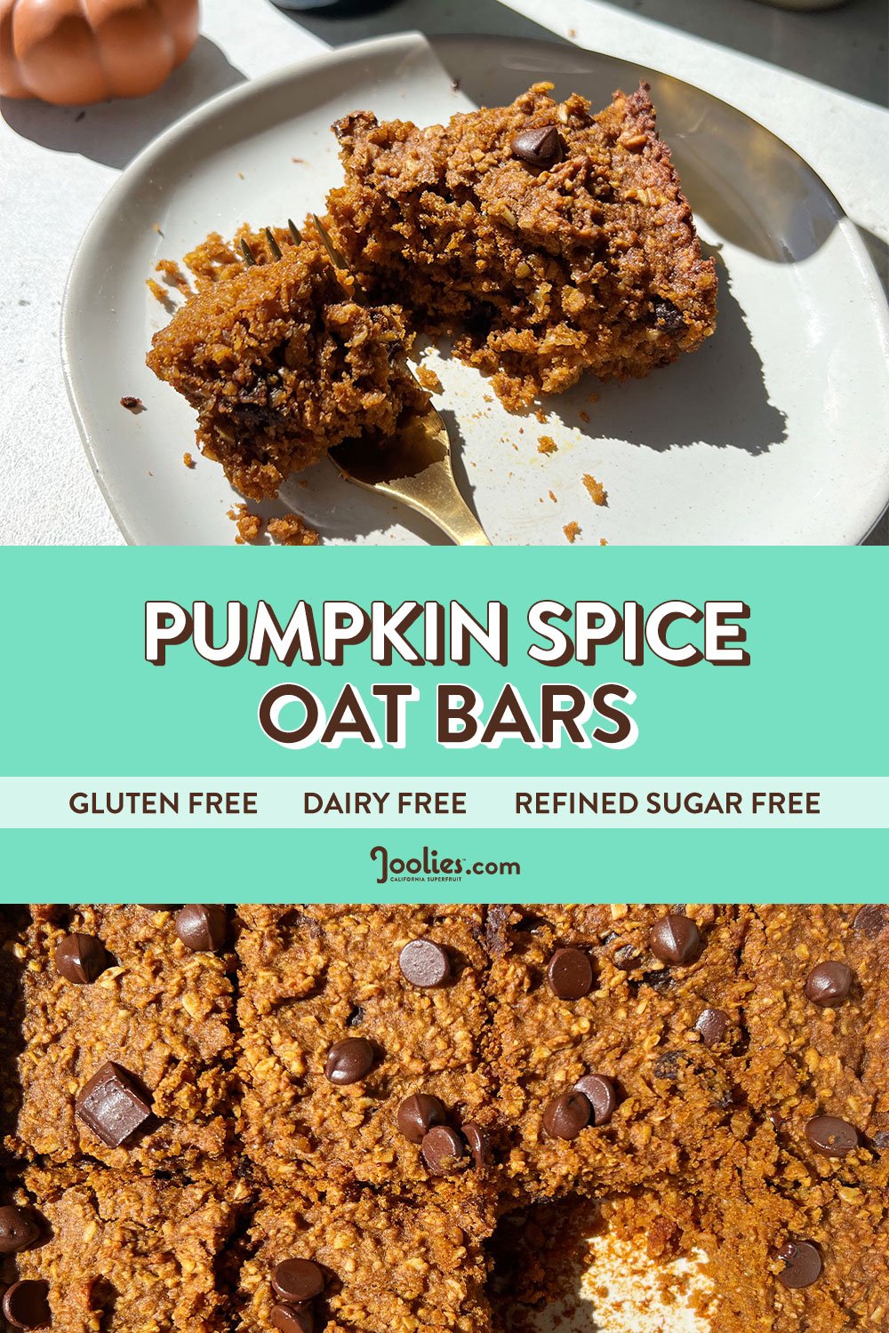 Pumpkin Spice Oat Bars