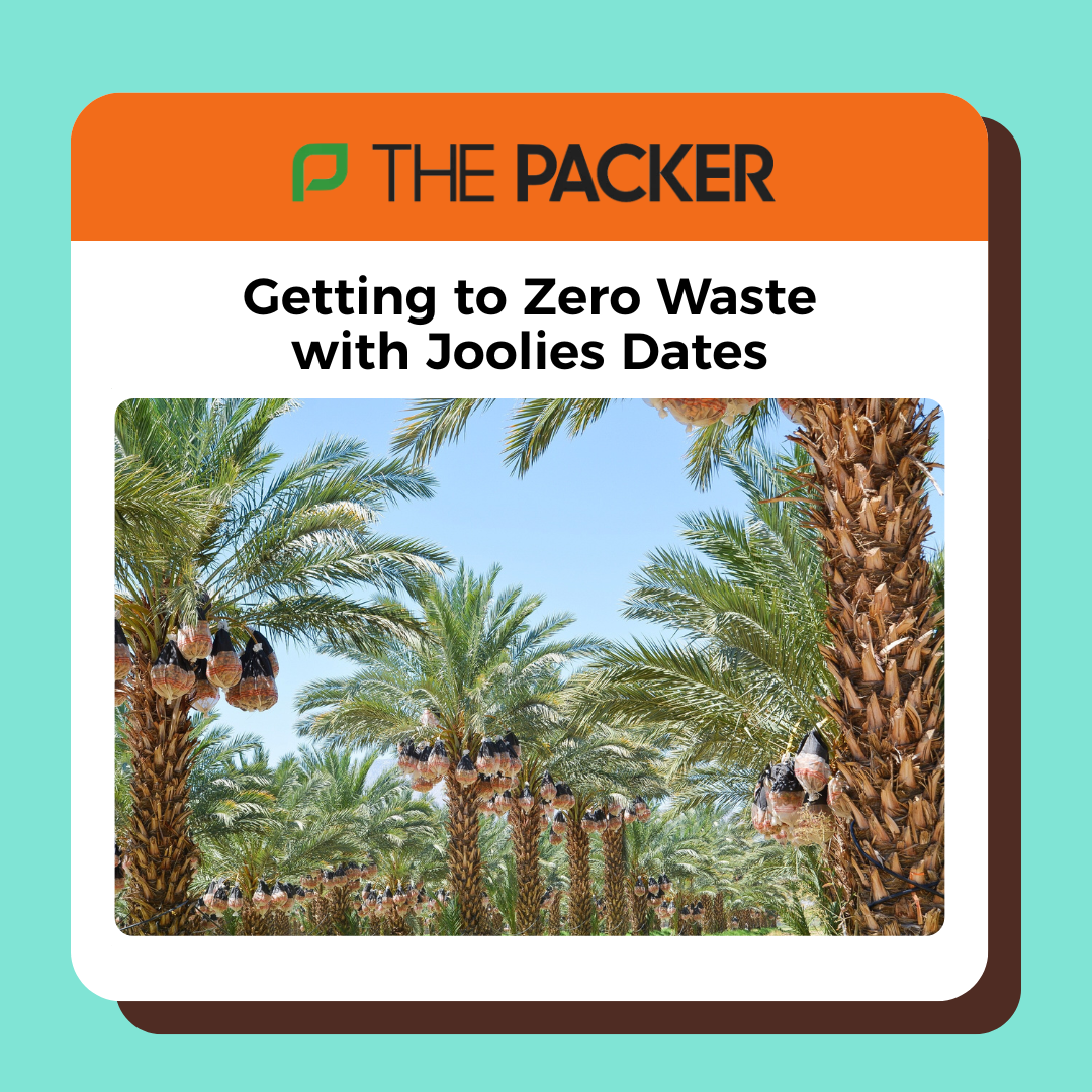 medjool dates